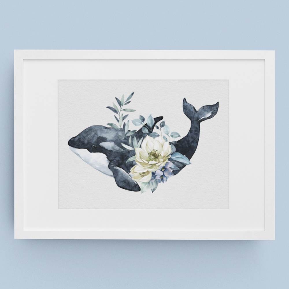 Watercolor Orca Whale Wall Art Illustration Print Poster Unframed - Picture 9 of 10